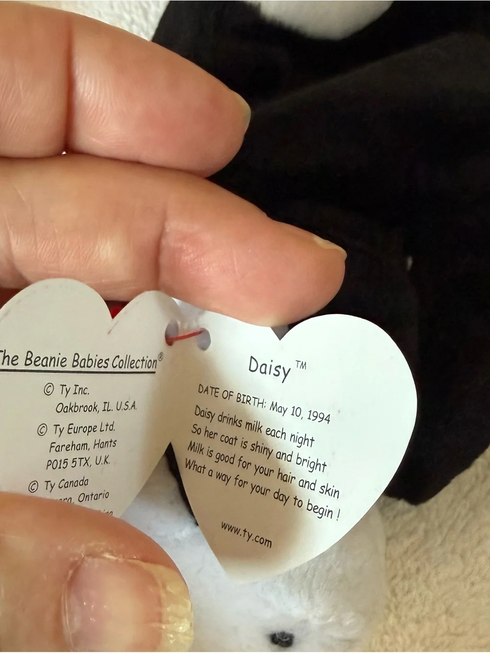 Squealer, Snort and Daisy Ty  Beanie Babies w Tags MWMT